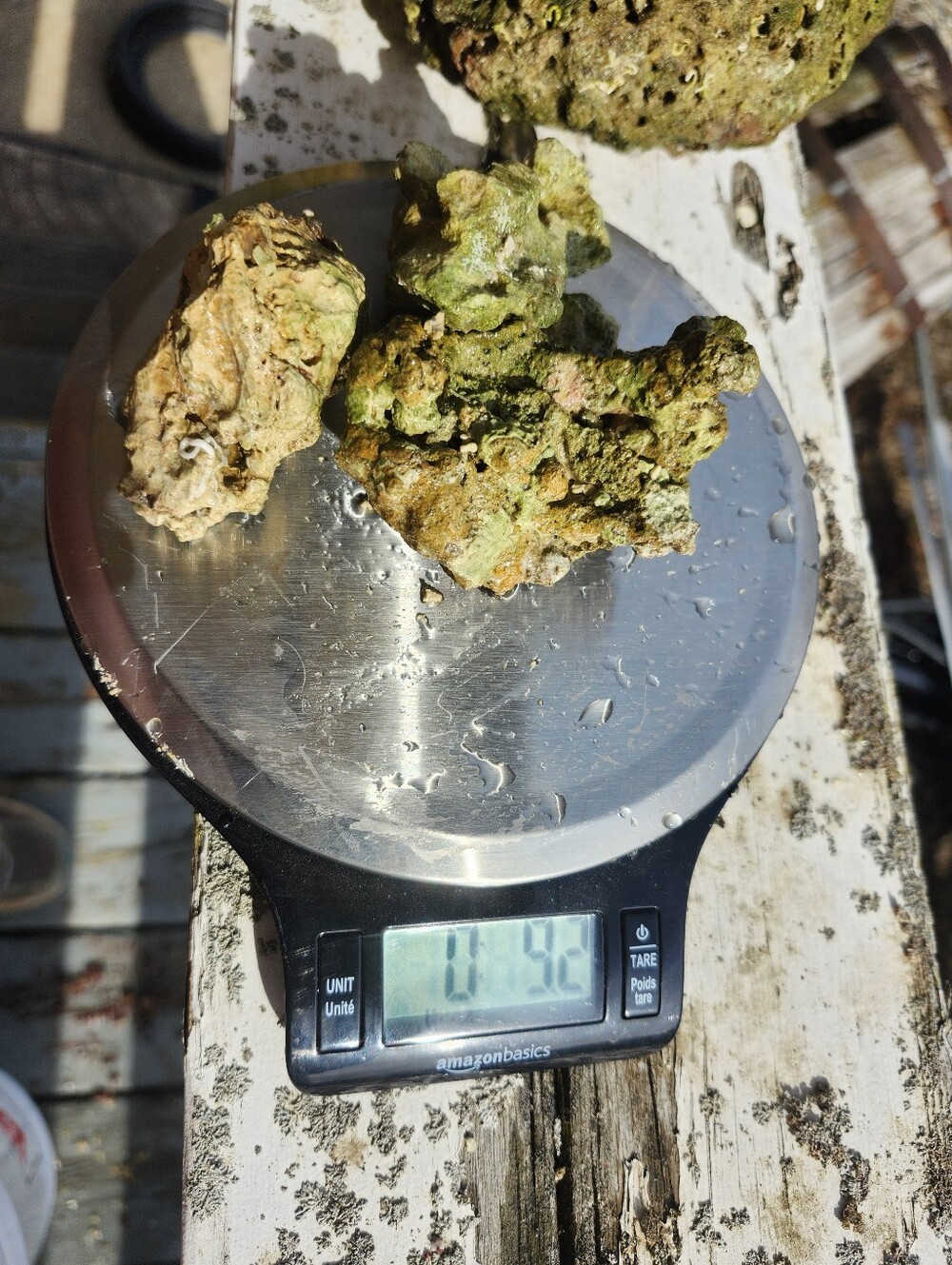 Fiji Dry Base Rock for Saltwater Aquarium Setup Natural Reef Rock Aquascaping